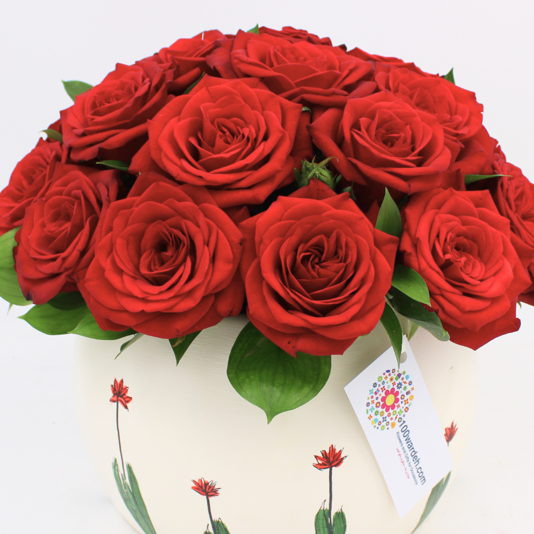 Red Roses in a Pot