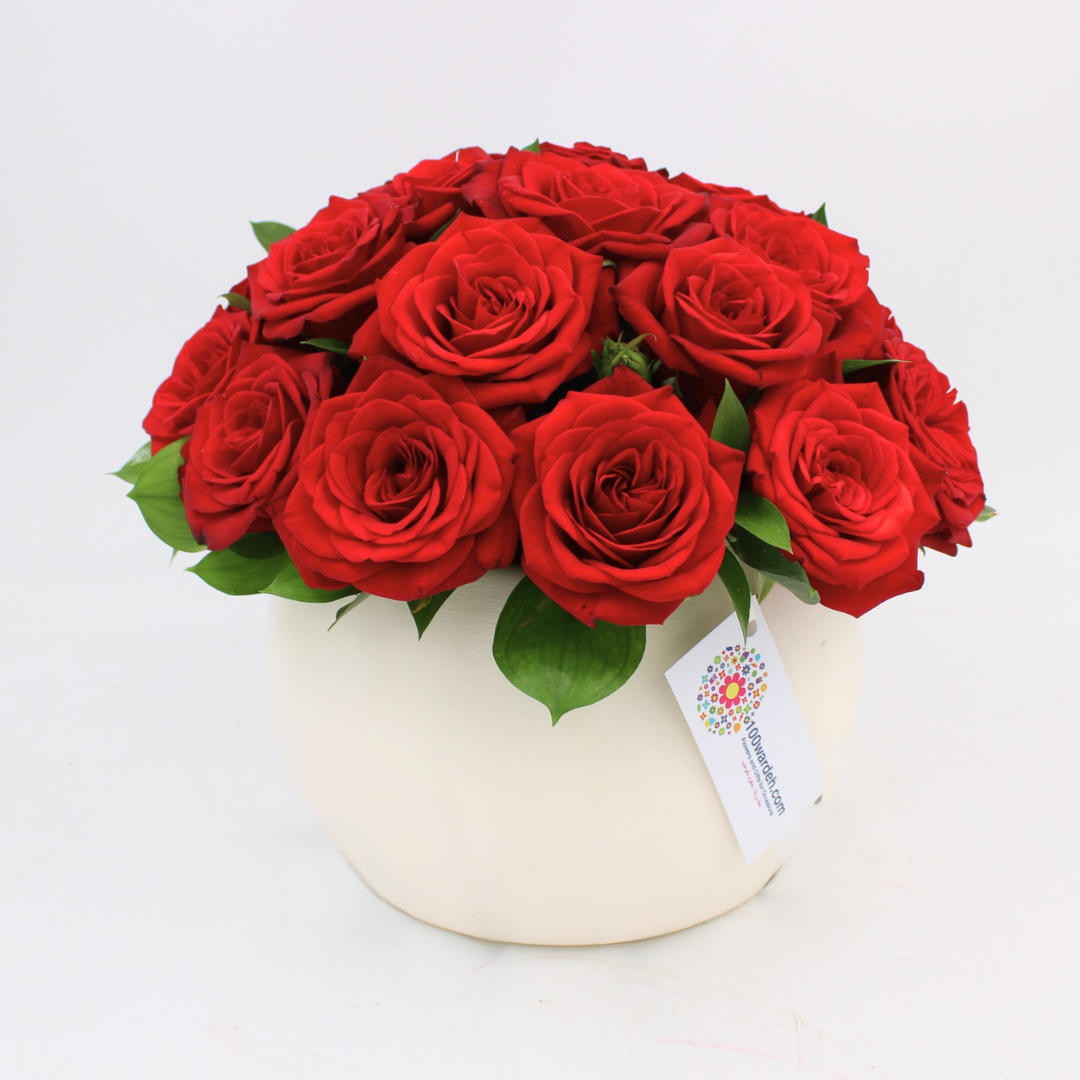 Red Roses in a Pot