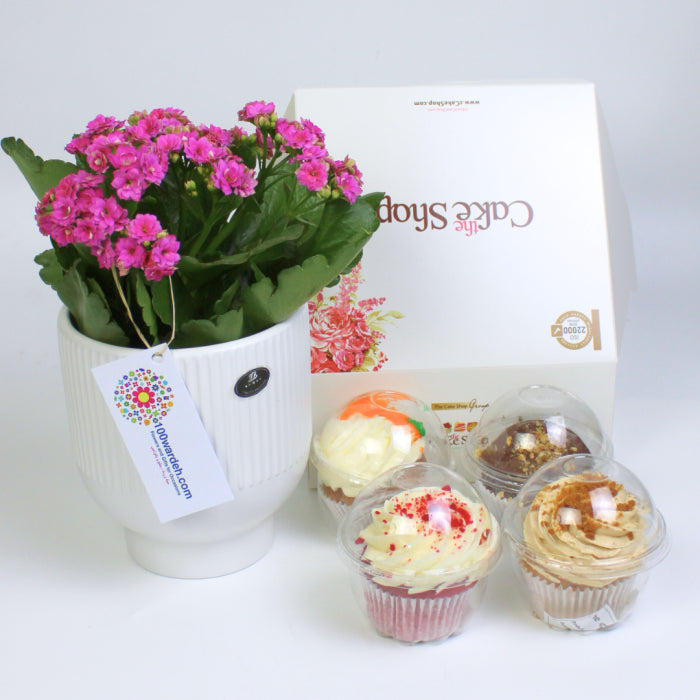Cupcakes with kalanchwa flowers pot