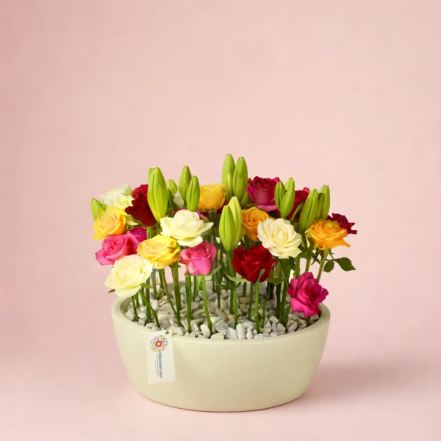 Luxury Roses & Lilies in White Pot