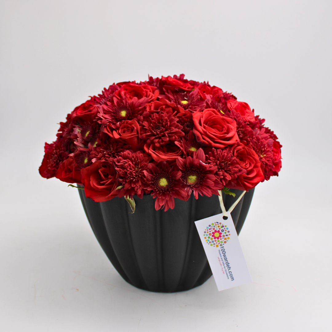 Scarlet Elegance