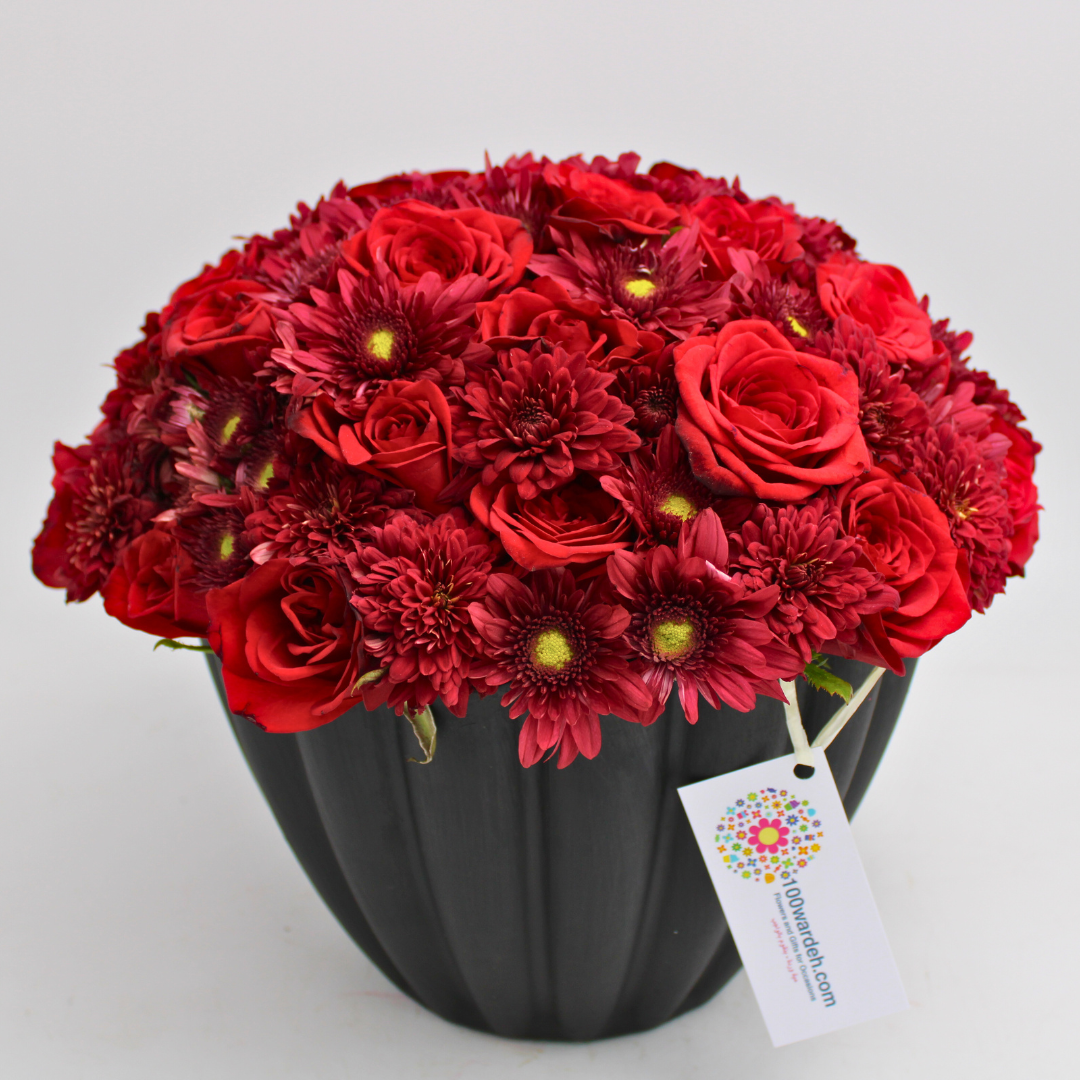 Scarlet Elegance