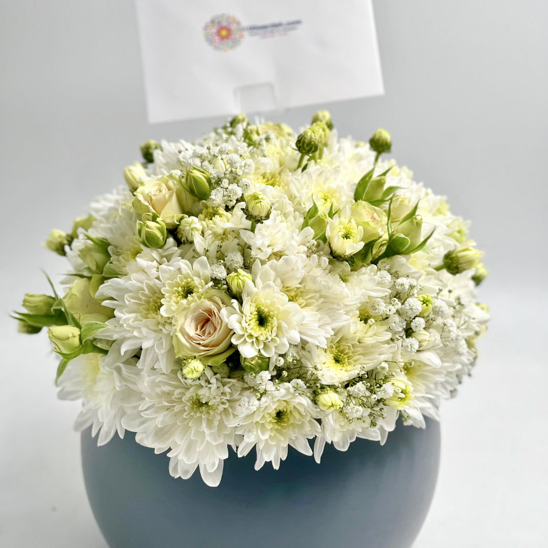 Serene Blossom Pot