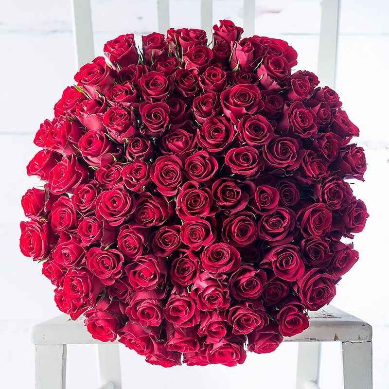 100 Red Roses (100 wardeh Special)