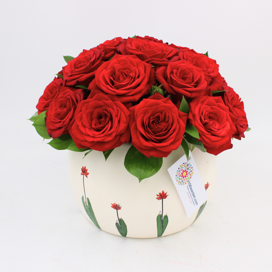 Red Roses in a pot