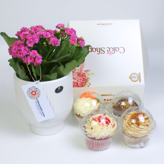 Cupcakes with kalanchwa flowers pot