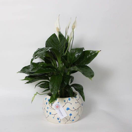 Hand-drawn pot plant (Blue)